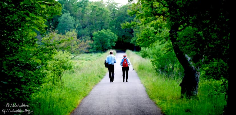 Promenera tillsammans